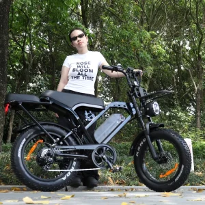X80 Pro Fat Tire E Bike X80 Fatbike X80 Hydraulic Electr Bicycle 48v 250w Mtb Big Tyre EBike Mountain Electric CityBike