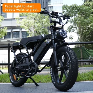 X80 Pro Fatbike Electric Bike 250W Ebike