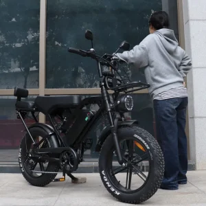 X80 Pro Fatbike Rear Seat Electric Bike X80PRO Velo Electrique EU Bike Electric X80 E bike 250W Ebike