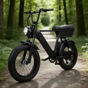 Y20 Plus E-Bike 48V 250W Full Suspension Fat Tire Dirt Ebike Electric Mountain Bike
