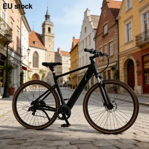 Y700 36V Skinny Bike Step 700*40C Skinny Ebike 250W Motor Electric City Bicycle