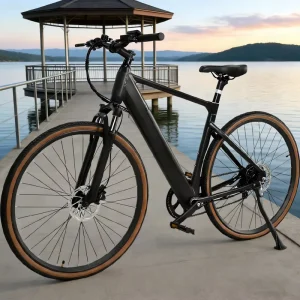 Y700 Electric Bike 250W Lithium Battery Ebike Dual Hydraulic Disc Brakes 80km Range Aluminum Frame 700c for Adult Road Use