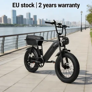 YANGOR Fast Electric City E Bike Y20 Plus Full Suspension 48v Lithium Battery Power Off Road Cargo Fat Tire E Bike EU Warehouse