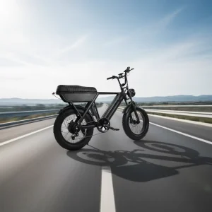 YANGOR Y20 Hybrid Mountain Electric Bicycle, Off-Road Fat-Tire E-Bike for Men and Adults