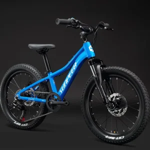 Youth 20 Inch Alloy Mountain Bike for Kid 5 6 Years Old