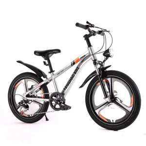 Youth Bike Comfortable for Long Distance Riding for Teens Lightweight Teen Mountain Bike for Outdoor Sports in South America
