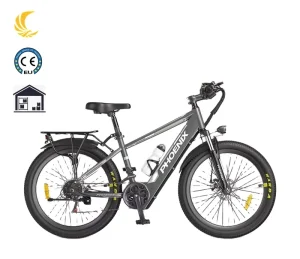 ZF07 6Ah Phoenix Power Assisted GB Lithium Battery Electric Bike 400W Motor 48V Voltage Steel Men’s Women’s Small Motorcycle Car