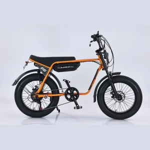 ZX 20Inch Fat Tires E-bike 48V 750W 1500W Electric Urban Bicycle Adults Ebike 73 With Foot Pegs