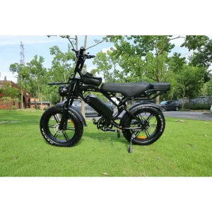 Zerogo Fat Bike V20 Pro Fat Tire Full Suspension Electric E Fatbike 20×4.0 Electric Fat Tire Tyre E Bike Ebike E-bike Warehouse