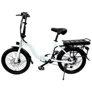 city fashion aluminum alloy 36v 250w 20 inch foldable electric bicycle with 7 speed and F/R disk brake