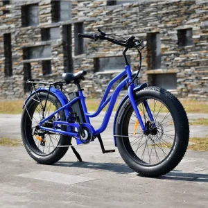 factory sales 1000W electric bicycle beach cruiser 750W mountainbike electric bike ebike