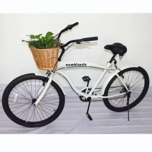 China-Made Helicopter Bicycle, Beach Cruiser Bicycle