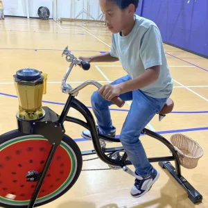 Unicycle Smoothie Fruit Juicer Beach Cruiser Bike Adult Party Chopper Bike