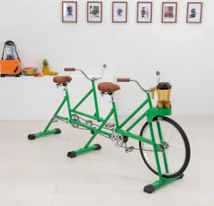Fixed-Gear Smoothie Juicer, Tandem Bicycle, Beach Cruiser, Unicycle, Party Two-Person Entertainment Fruit Bicycle