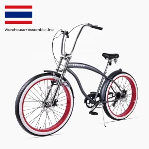 Spring-Type Cruiser Bicycle with High-Density Disc Brakes