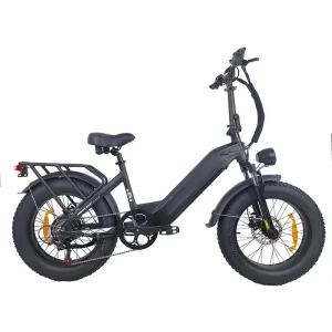 Multifunctional Hybrid Electric Bicycle with Sidewalk and Light-Trail Motor