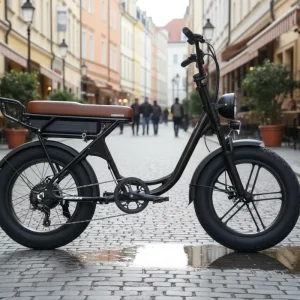 Warranty Hybrid Bicycle, Men’s Waterproof Bicycle, Fuel-Efficient Electric Bicycle