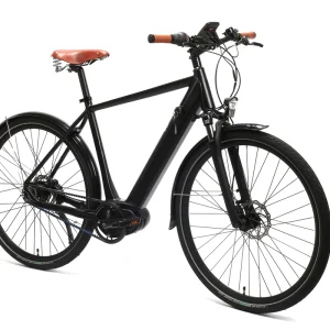 Electric Hybrid Bicycle