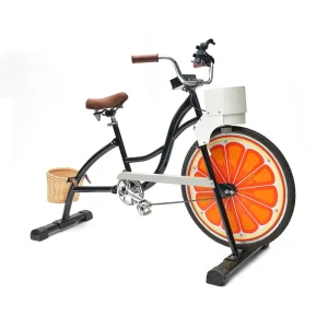 Steel Unicycle Cruiser Bicycle with Pedal Generator, Hybrid Adult Bicycle