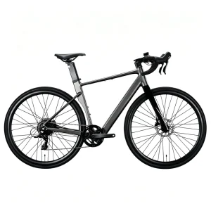 Customizable Electric Bicycle with Suspension Fork, Electric Hybrid Bike for Mixed City and Mountain Riding