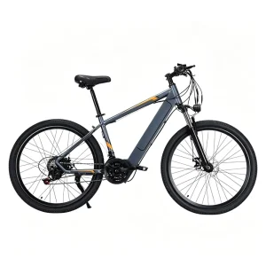Customizable Electric Lithium-Battery Hybrid Bicycle for Men and Women, Suitable for Urban and Mountain Commuting