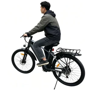 Factory Direct Hybrid Electric Bicycle with Disc Brakes and Lightweight Frame for Various Travel Scenarios