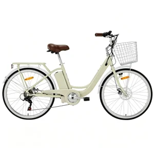 Electric Hybrid Bicycle with Recoil Force and Disc Brakes for Daily Commuting Between Urban and Suburban Areas