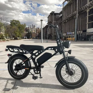 off Road Motorcycle Retro Sport Fast Two Wheel 20 Inch Fat Tire 48v 7 Speed Electric Motor Bike
